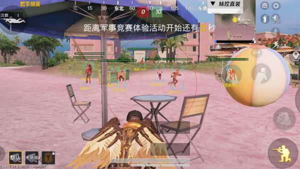 和平精英妹控辅助