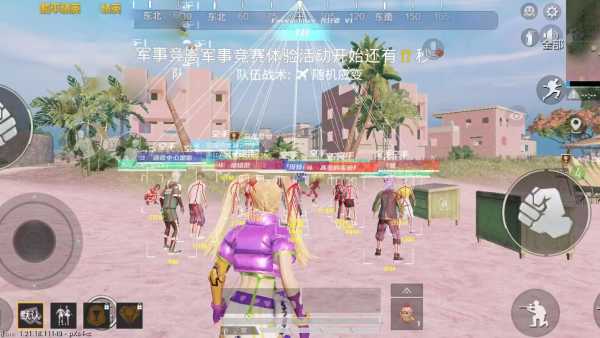 和平精英领域辅助